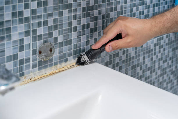 Best Affordable Mold Removal  in Brownsville, KY